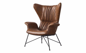DARWIN Lounge Chair