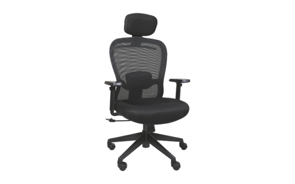 KARINA DLX Office Chair