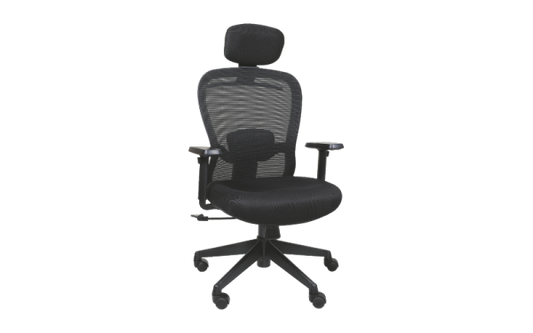 KARINA DLX Office Chair